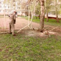 Выполнена опиловка деревьев по адресу: пр-кт Строителей, 51